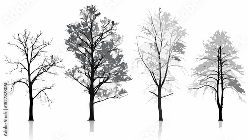 Silhouettes of deciduous trees in varying shades of gray and black