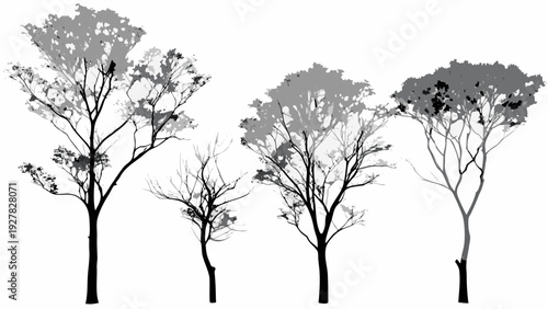 Silhouetted trees in varying shapes and sizes against a white background
