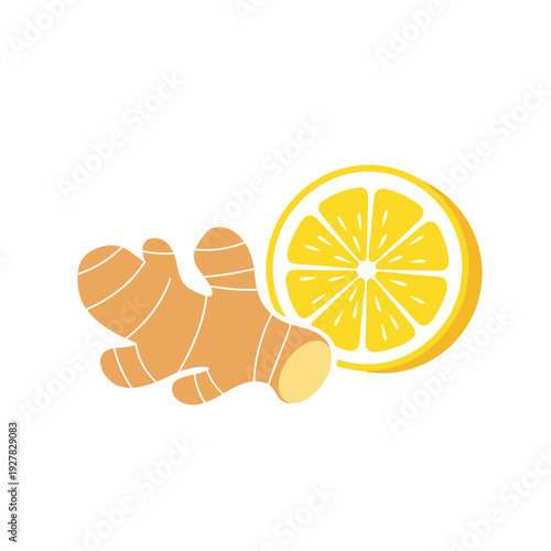 Ginger root and lemon slice in simple flat design  