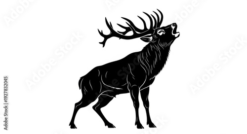 Illustration of Deer with Antlers.