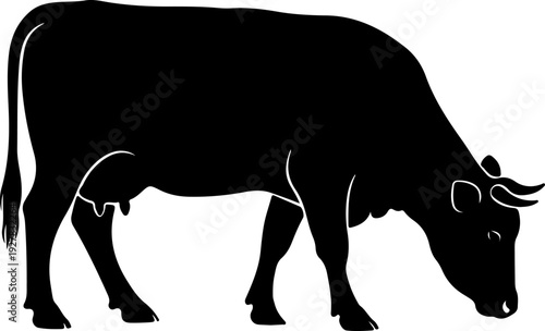 Cow silhouette vector illustration