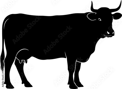 Cow silhouette vector illustration