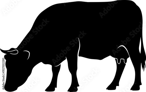 Cow silhouette vector illustration