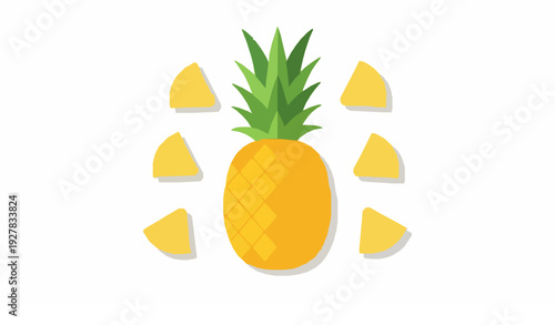 Flat style pineapple fruit with slices vector illustration