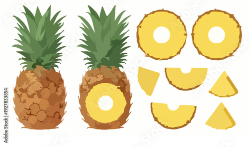 Fresh pineapple with slices and leaves vector illustration