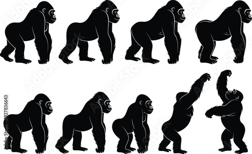 Gorilla Silhouette Vector Set of Powerful Primate Poses Isolated on White Background African Wildlife Animal Illustration Collection