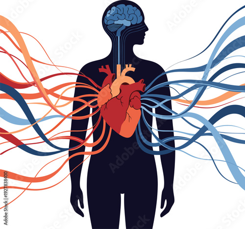 Minimalist academic illustration representing mind-body relationship in psychosomatic medicine
