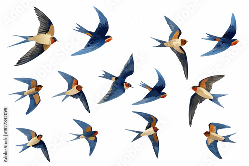 A collection of swallows in flight depicted in a stylized illustration