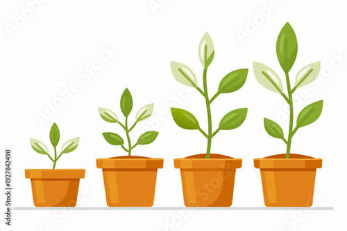 Illustration of four plants in pots showcasing stages of growth