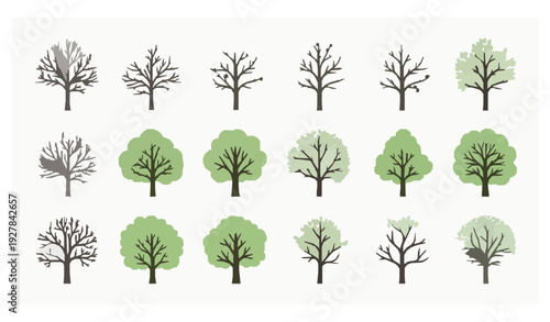 Botanical tree and leaf flat vector set hand drawn seasonal forest elements isolated on white background