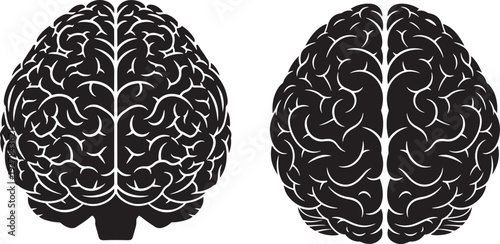 Stylized black and white brain illustrations, one frontal view and one sagittal section, symbolizing intelligence and neuroscience