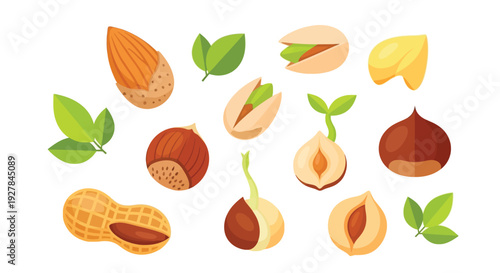 A vibrant collection of various nuts and seeds, including almonds, pistachios, peanuts, hazelnuts, and chestnuts, some sprouting, alongside fresh green leaves.