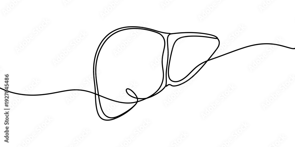 Fototapeta premium Minimalist continuous line art stylish sunglasses illustration