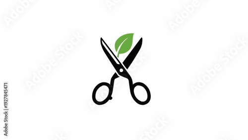 Scissors with green leaf cut.