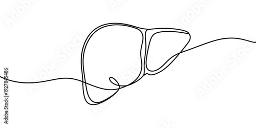 Minimalist continuous line art stylish sunglasses illustration
