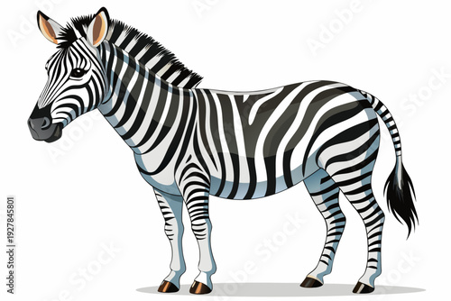 Cartoon Zebra Standing Profile View on White Background animal wildlife