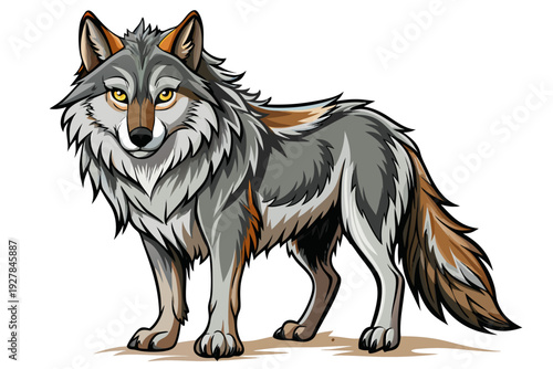 Gray wolf standing with yellow eyes and detailed fur on white background animal wildlife