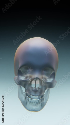 Abstract skull shape in soft lighting