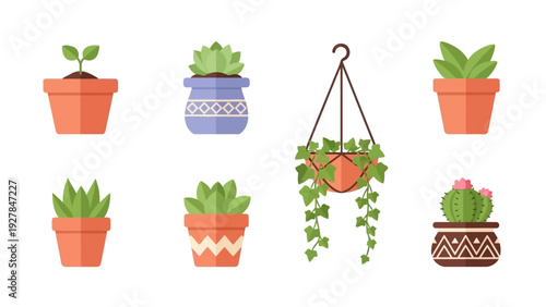 Collection of potted houseplants in various decorative containers with a minimalist design