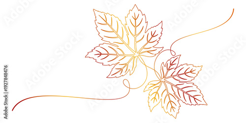 maple leaf line art style illustration 1.eps