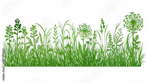 A vibrant illustration of lush green grasses and flowering meadow plants