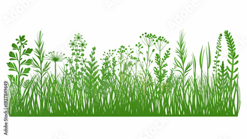 A vibrant green illustration depicting a variety of wildflowers and grasses