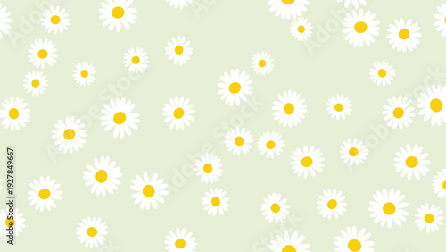Cheerful pattern of white daisies with bright yellow centers is scattered across a soft light green background in a seamless design.