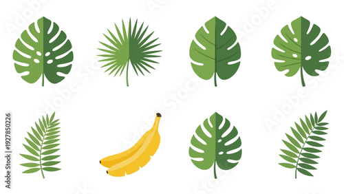 Tropical jungle leaves and ripe banana bunch elements for design and decoration