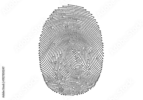 A detailed fingerprint illustration on a plain surface viewed from directly above