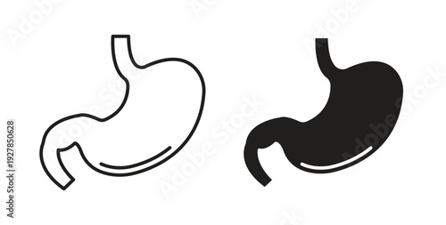 Stomach icon symbol vector graphic designs on white. Best for ui Design