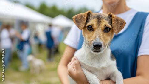Small dog held by a woman in blue apron at an outdoor pet adoption event with tents and people visible in the background
