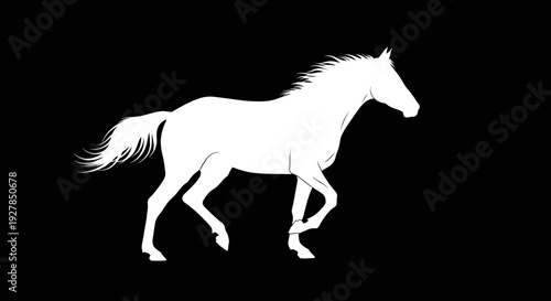 White horse silhouette against a black background vector illustration
