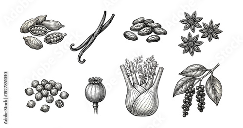 Vintage ink fragrant seed pods .