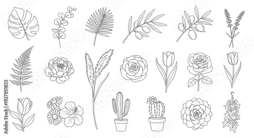 Elegant Botanical Line Art Collection – Luxury Minimal Floral Vector Set