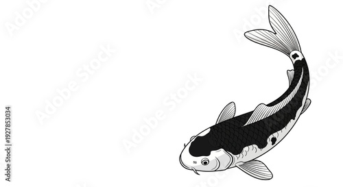 Black and white koi fish illustration isolated on white background