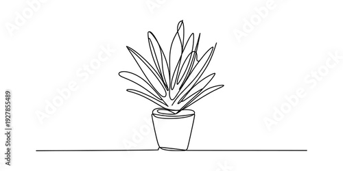Minimalist continuous line drawing of a succulent plant in a ceramic pot on a table Vector, illustration