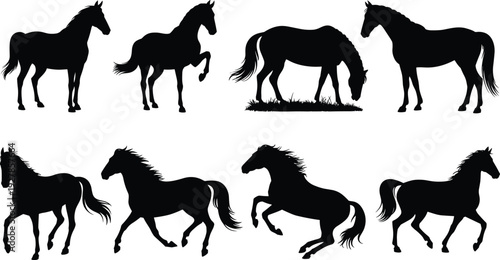 Horse silhouette collection, various stallion and mare poses, running and grazing farm animals, cad drawing flat vector illustration, black equine wildlife shapes.