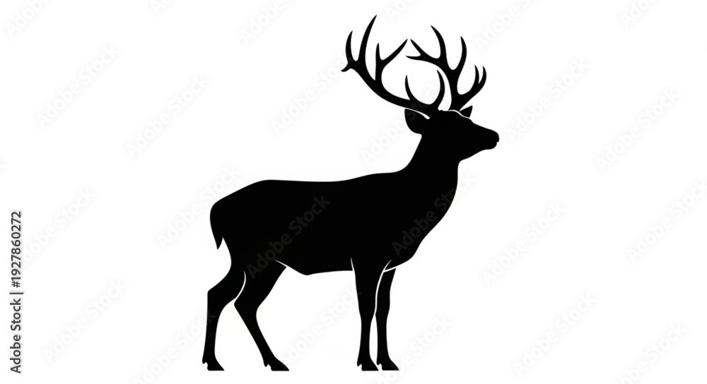 Obraz premium Silhouette of Deer with Antlers.