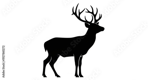 Silhouette of Deer with Antlers.
