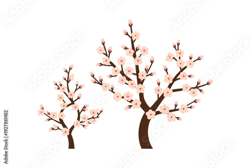A beautiful cherry blossom tree illustration with colorful circles background