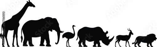 African safari animal silhouette collection with giraffe, elephant, ostrich, rhinoceros, antelope and lion isolated on white background wildlife illustration set