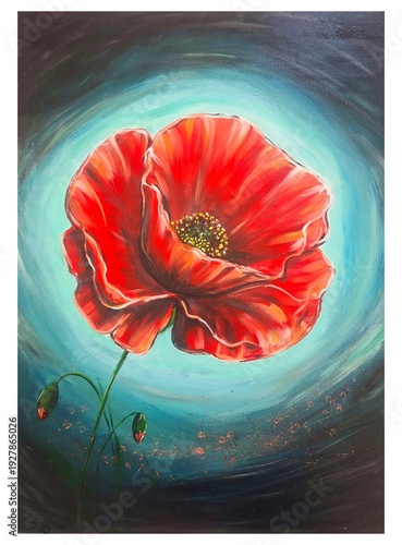 red poppy flower