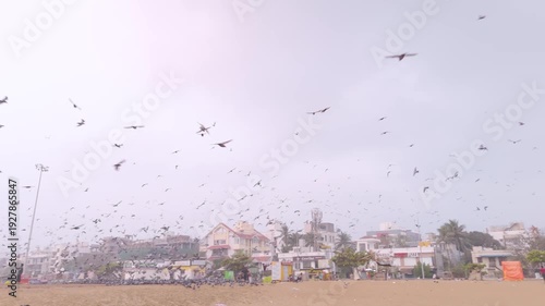 Top View of Elliot’s Beach in Chennai – South India