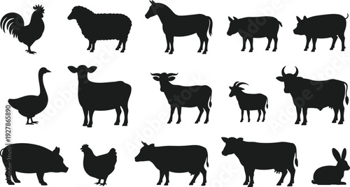 Farm animal silhouettes collection with rooster, sheep, horse, cow, bull, goat, pig, duck, chicken and rabbit isolated on white background vector set