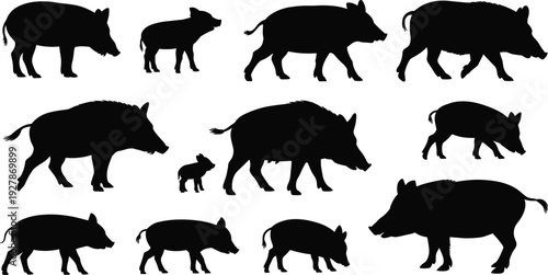 Wild boar and pig silhouette collection with piglets, black swine shapes isolated on white background, farm animal illustration set