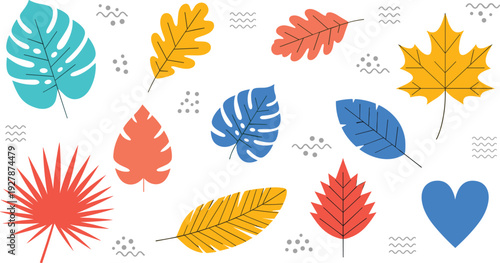 Colorful autumn leaf collection vector set with decorative tropical and fall foliage for seasonal nature and botanical design