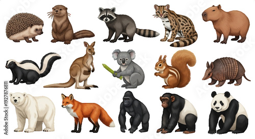 Diverse collection of wild animals, including mammals and marsupials, in various poses and expressions on a white background.