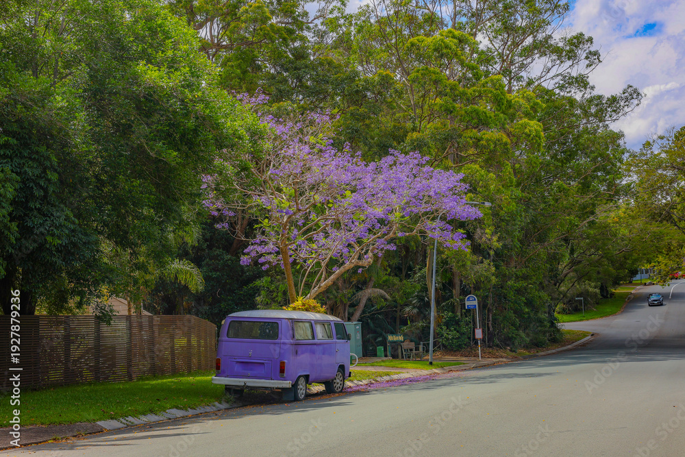 Fototapeta premium A purple van under a tree, purple flowers, in spring.