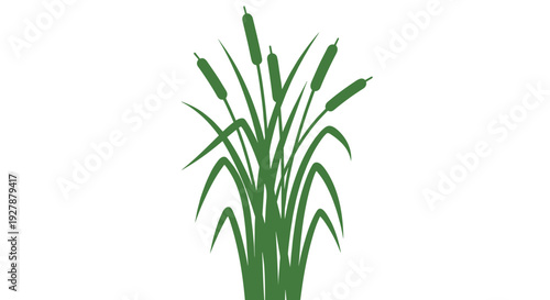 Green Cattail Plant with Bullets Isolated.
