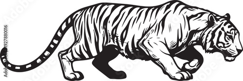 Black silhouette of a tiger crouching, isolated on white background